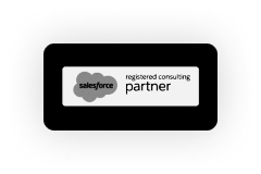 salesforce-partner copy